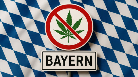 Ab heute: Bayerische Cannabis-Anbauvereinigungen gestoppt – Was bedeutet das?
