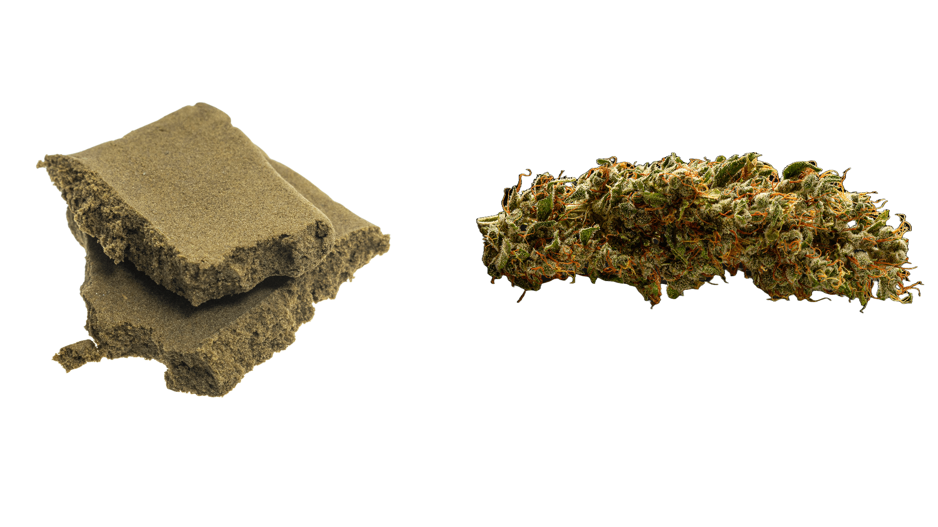 Hash vs. Cannabis Blüten - Die Duell der Cannabisprodukte: Ein Vergleich für Kenner - HIZEN