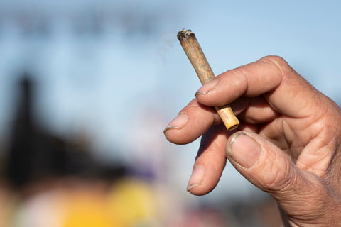 Cannabis und seine Wirkung: Das ist wahr, das nicht