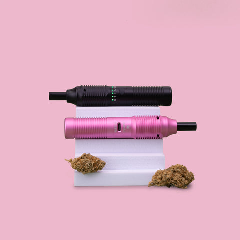 Stilus Modelle Pink und Schwarz