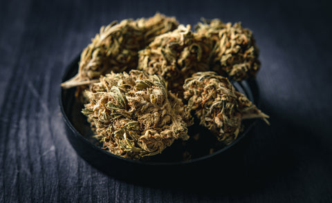 Vorsicht beim Autofahren – THC bleibt lange im Blut