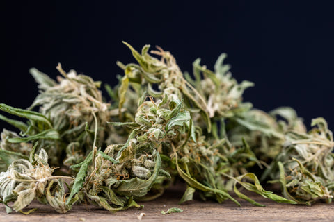 Cannabis online bestellen & sicher konsumieren – Deine Informationsquelle mit HIZEN