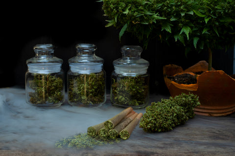 GreenMedical