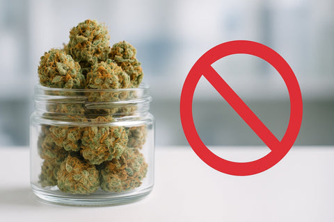 Cannabisblüten sind unverzichtbar – warum ein Verbot schaden würde