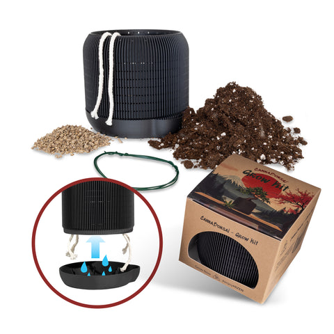 CannaBonsai Grow Kit